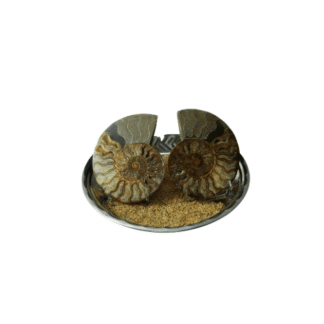 Aboorvass Shaligram