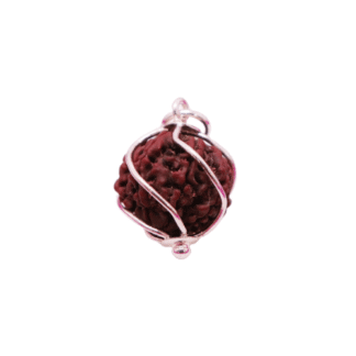 RP_1 - 7face Rudraksha with Silver Pendant