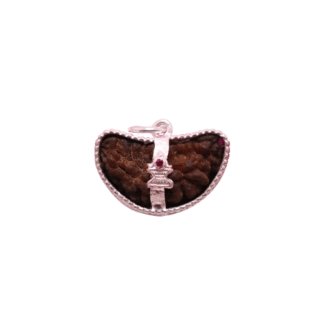 1 Face Rudraksha with Silver Pendant