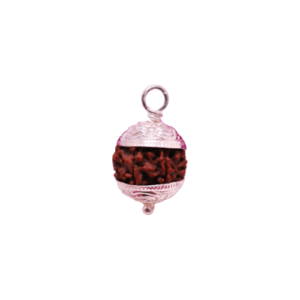 RP_6 - 6face Rudraksha with Silver Pendant