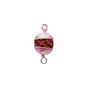 RP_7 - 6face Rudraksha with Silver Pendant