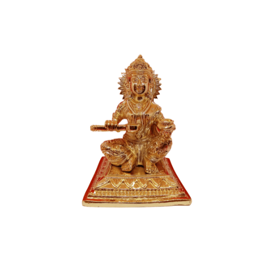 Aboorvass Annapoorni Gold Plating 11 Inch